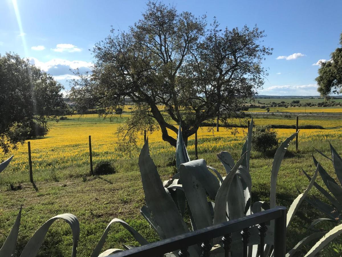 Quinta Da Colina Villa Évora Exteriör bild